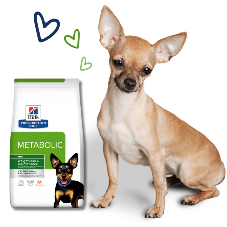 Hill's Metabolic Mini Crocchette per cani con pollo