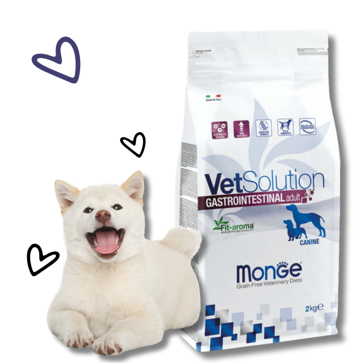 Monge Gastrointestinal Crocchette Cane