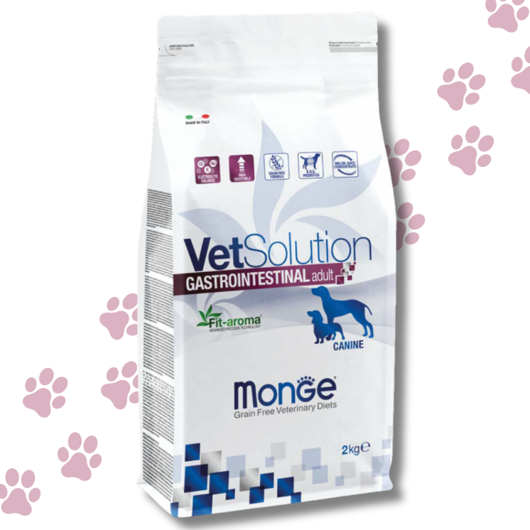 Monge Gastrointestinal Crocchette Cane