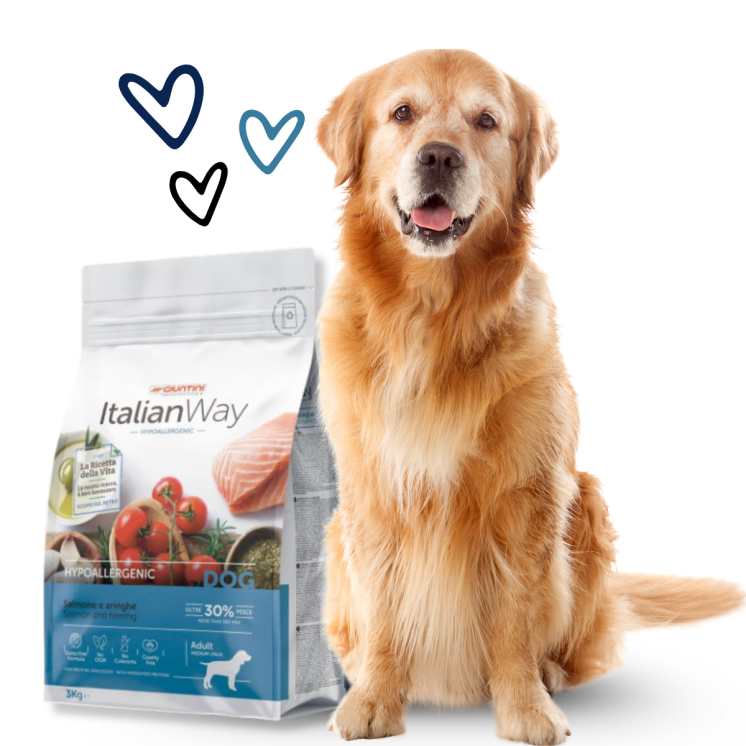 ItalianWay Hypoallergenico - Crocchette Cane Adulto Taglia Media/Grande Salmone e Aringhe