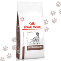 Royal Canin Gastrointestinal Adult Crocchette Cane secco