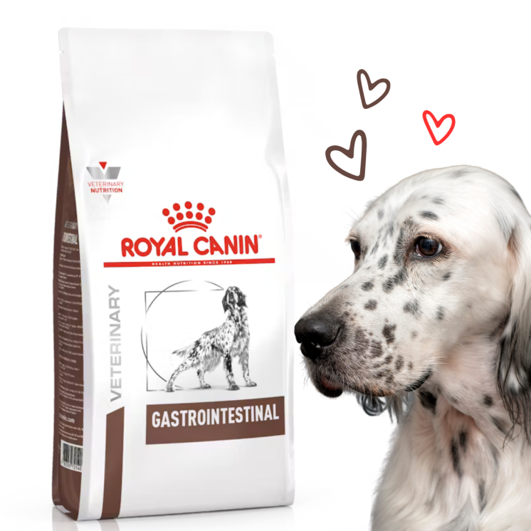 Royal Canin Gastrointestinal Adult Crocchette Cane secco