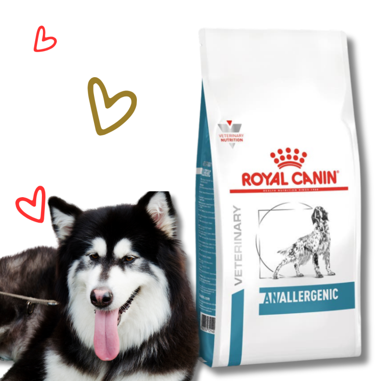 Royal Canin Anallergenic Cane Secco