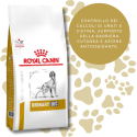 Royal Canin Urinary Cane secco