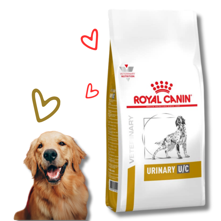Royal Canin Urinary Cane secco
