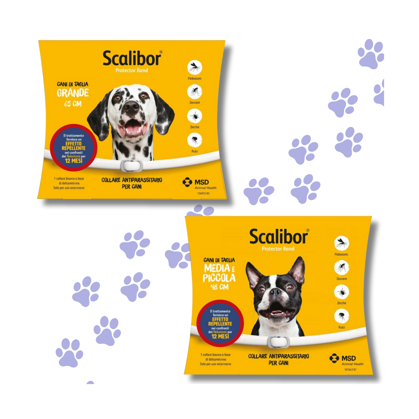 Scalibor collare Cani: efficace come protezione dai pappataci o flebotomi