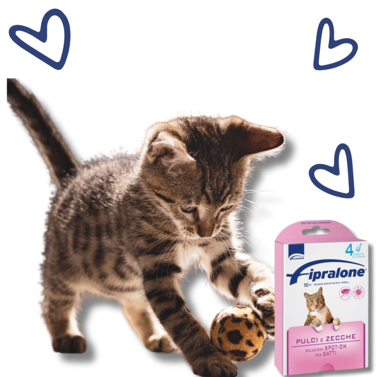 Fipralone Spot On Gatto - 4 pipette