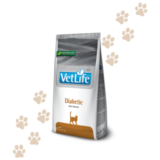 Farmina Vet Life Diabetic Gatto