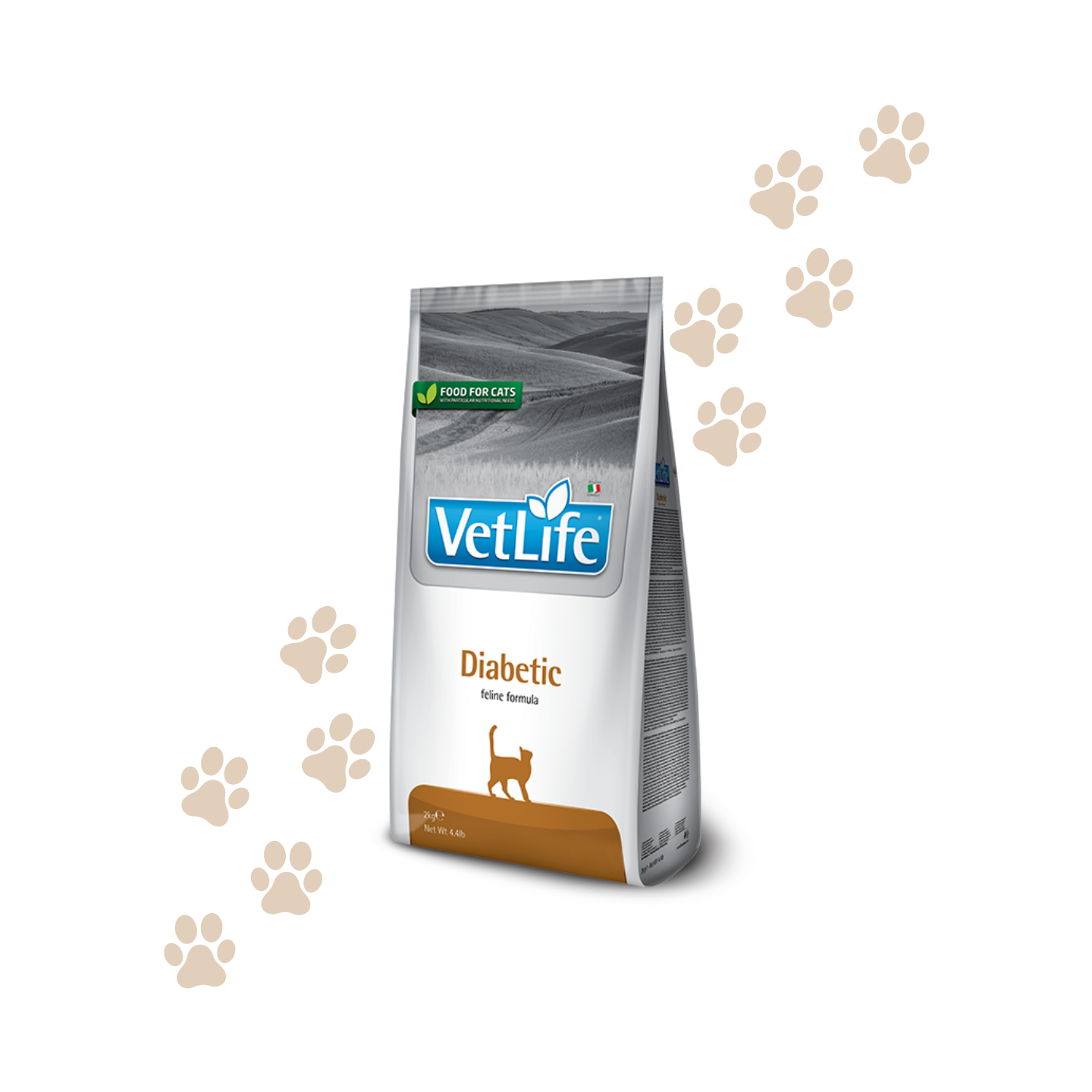 Farmina Vet Life Diabetic Gatto