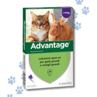 Advantage® 80 mg Antiparassitario Gatto oltre 4 Kg