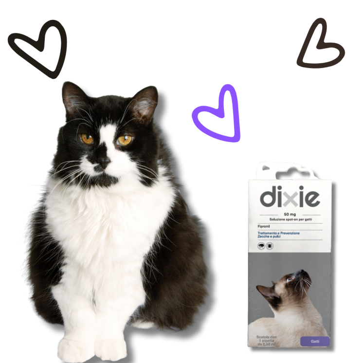 Dixie Fipronil Spot On Gatto Ml 0,5  -  1 Pipetta