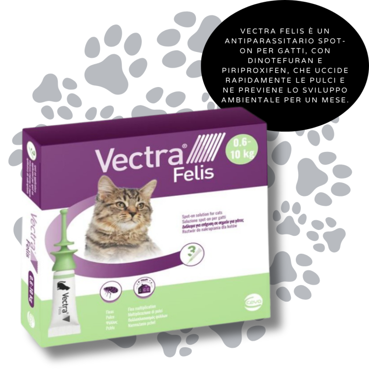 Vectra spot-on Antiparassitario Gatti 0,6 - 10 Kg