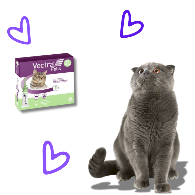 Vectra spot-on Antiparassitario Gatti 0,6 - 10 Kg