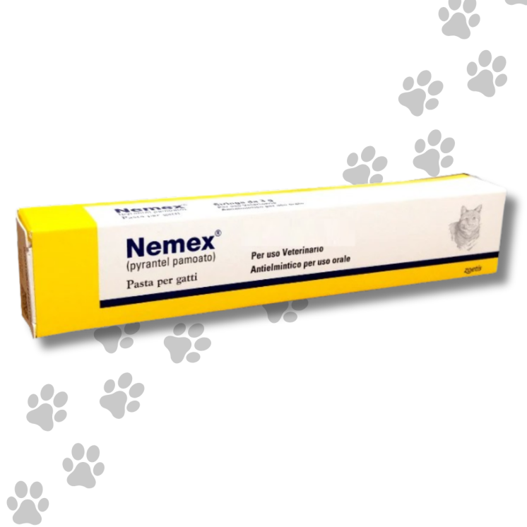 Nemex Gatti Pasta gr. 3