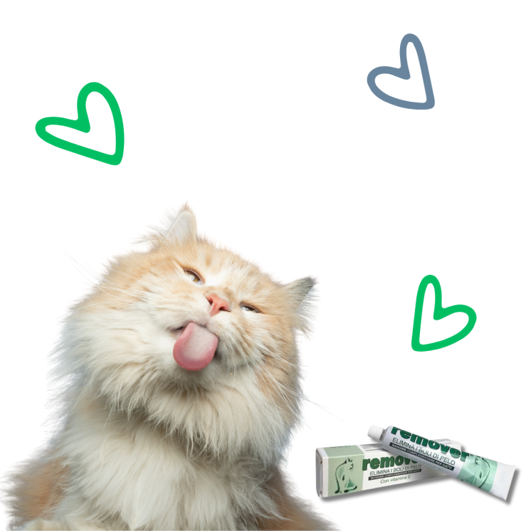 Remover Pasta – Integratore per l’eliminazione dei boli di pelo