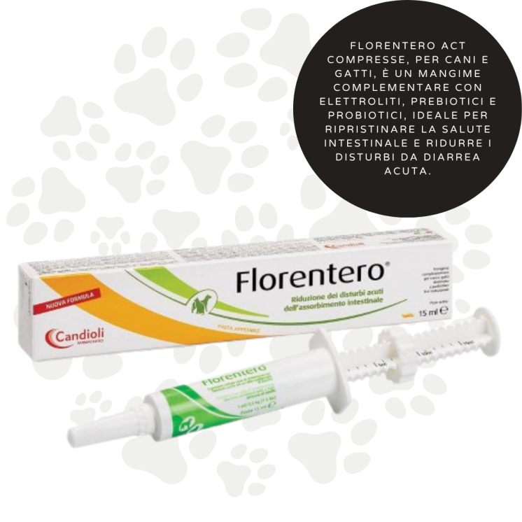 Florentero ACT Pasta Ml 15