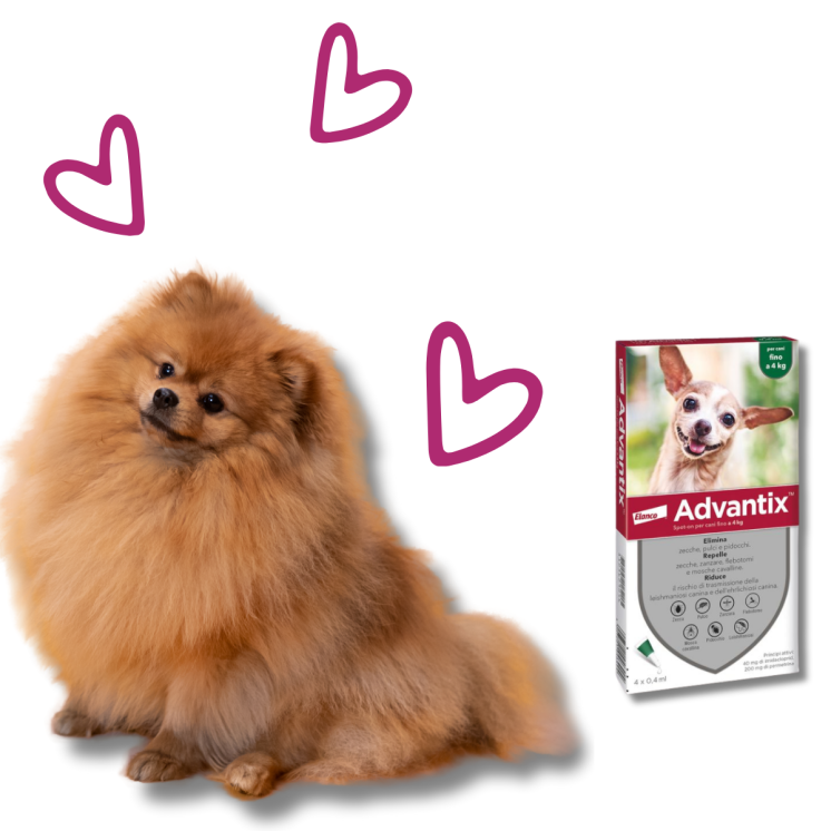 Advantix Spot-On per cani 0 - 4 Kg