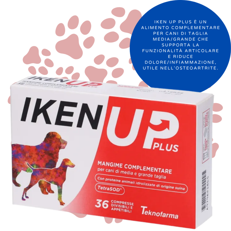 Iken Up Plus Cane 36 CPR