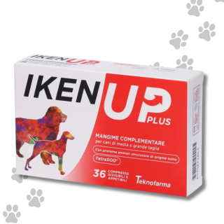 Iken Up Plus Cane 36 CPR