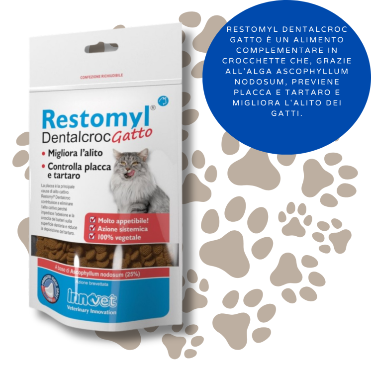 Restomyl Dentalcroc Gatto 60 gr.