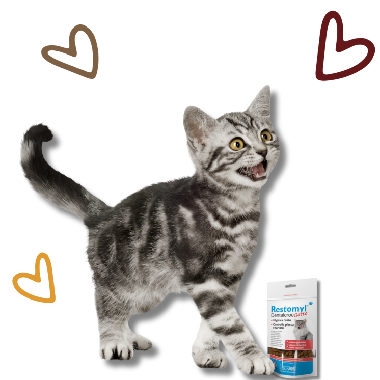 Restomyl Dentalcroc Gatto 60 gr.