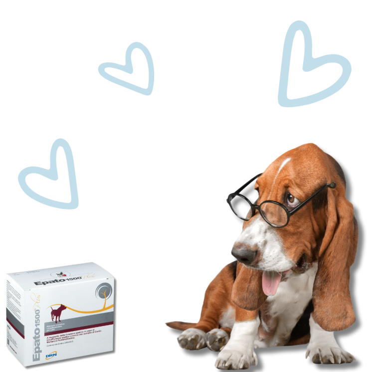 Epato 1500 Plus Compresse