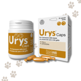 Urys Caps - 30 Capsule
