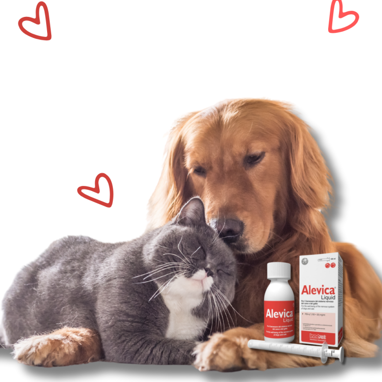 Alevica Liquid ml 100