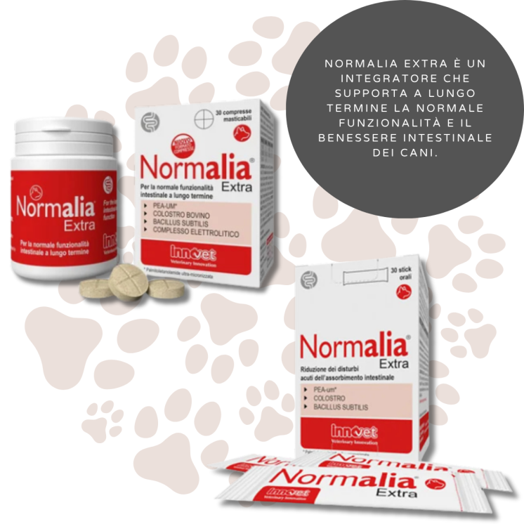 Normalia Extra 30 Stick o Compresse