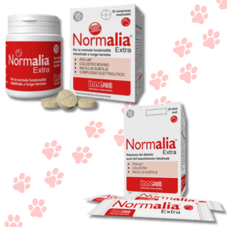 Normalia Extra 30 Stick o Compresse