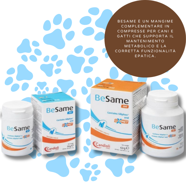 Besame Candioli – Polvere Appetibile per Cani e Gatti
