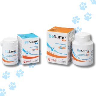 Besame Candioli – Polvere Appetibile per Cani e Gatti