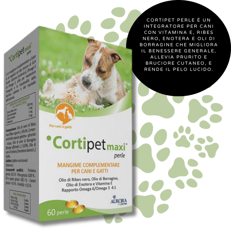 Cortipet Maxi 60 Perle