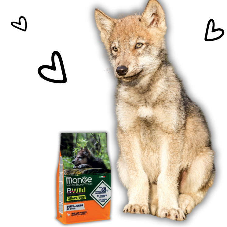 Monge BWild Grain Free Adult con Anatra e patate 12 kg