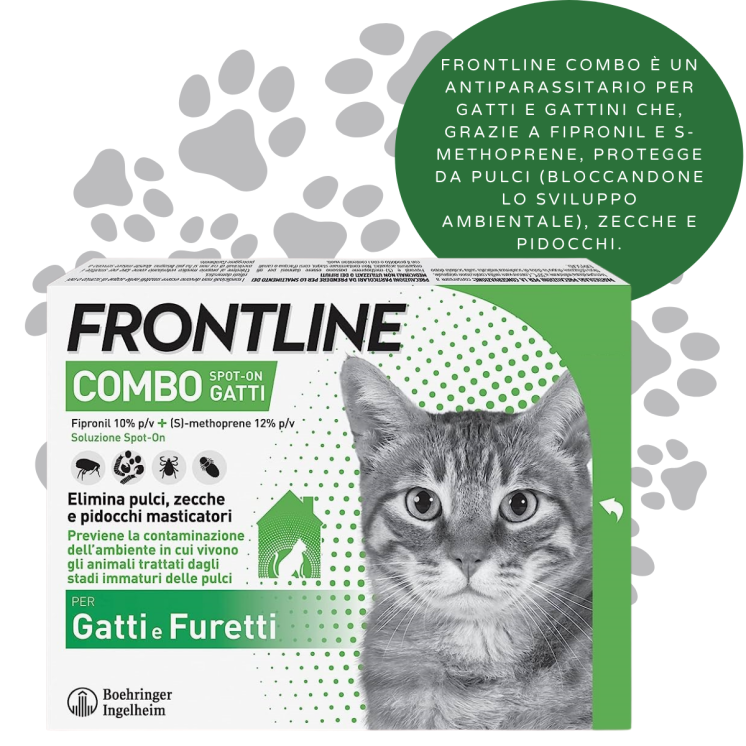 Frontline Combo Gatto Spot-on Antiparassitario - 1 Pipetta