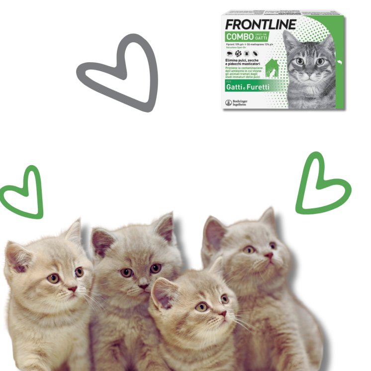 Frontline Combo Gatto Spot-on Antiparassitario - 3 Pipette