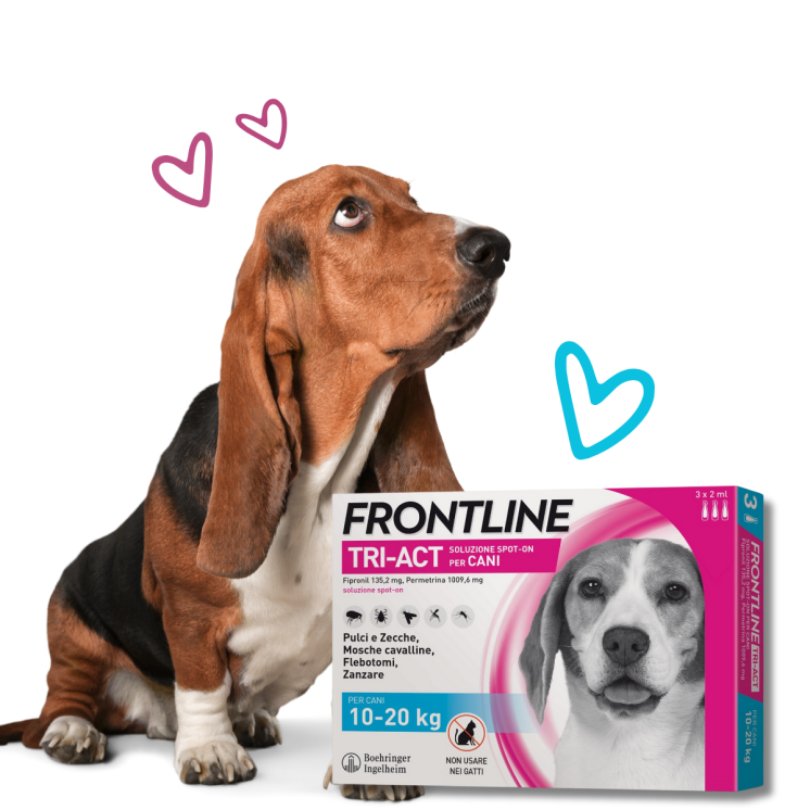 Frontline TRI-ACT Cani 10-20 Kg - Antiparassitario - 3 Pipette