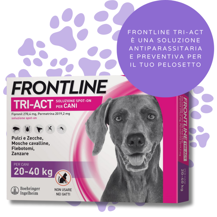 Frontline TRI-ACT Cani 20-40 Kg - Antiparassitario - 6 Pipette