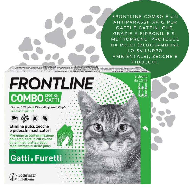 Frontline Combo Gatto Spot-on Antiparassitario - 6 Pipette