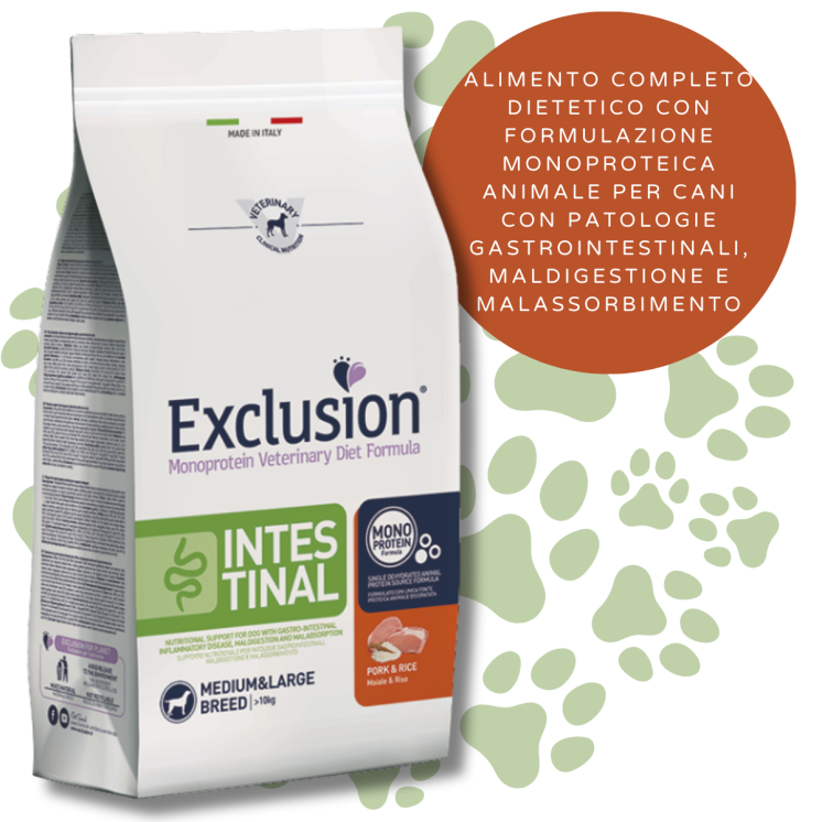 Exclusion Intestinal Crocchette Cane - Taglia Media/Grande - maiale