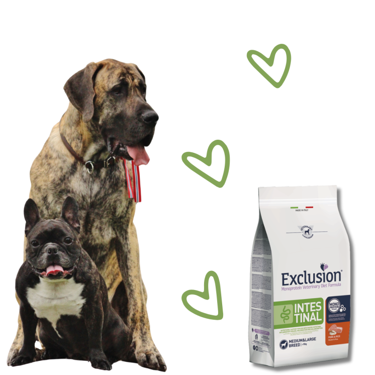 Exclusion Intestinal Crocchette Cane - Taglia Media/Grande - maiale