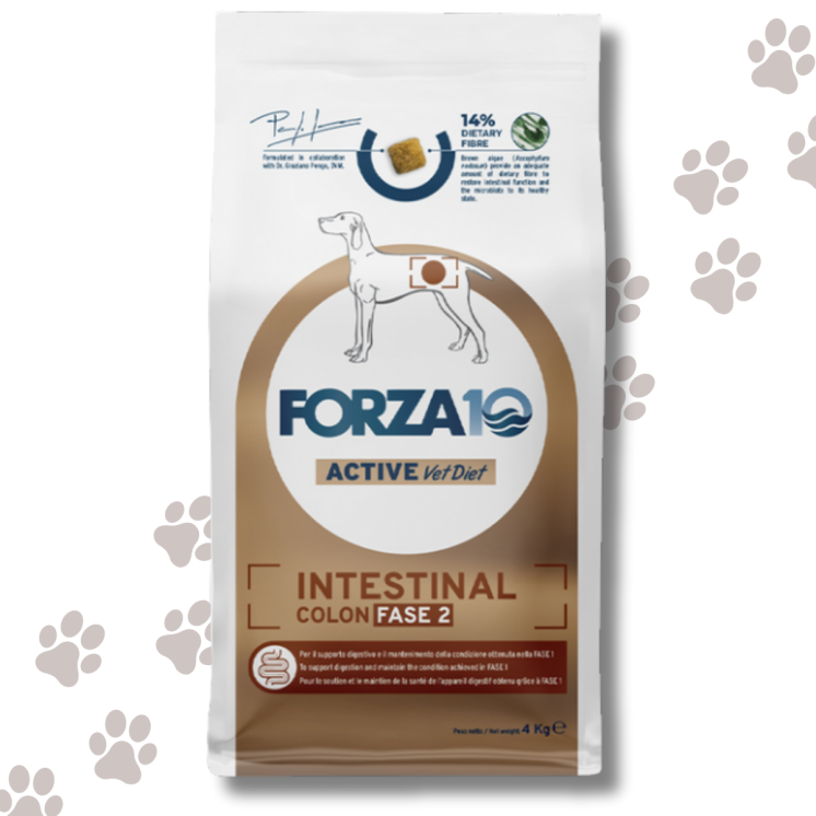 Forza 10 - Intestinal Colon Fase II Crocchette Cane