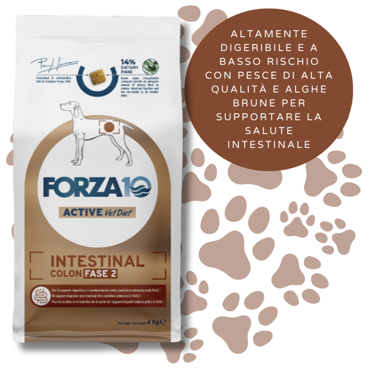 Forza 10 - Intestinal Colon Fase II Crocchette Cane