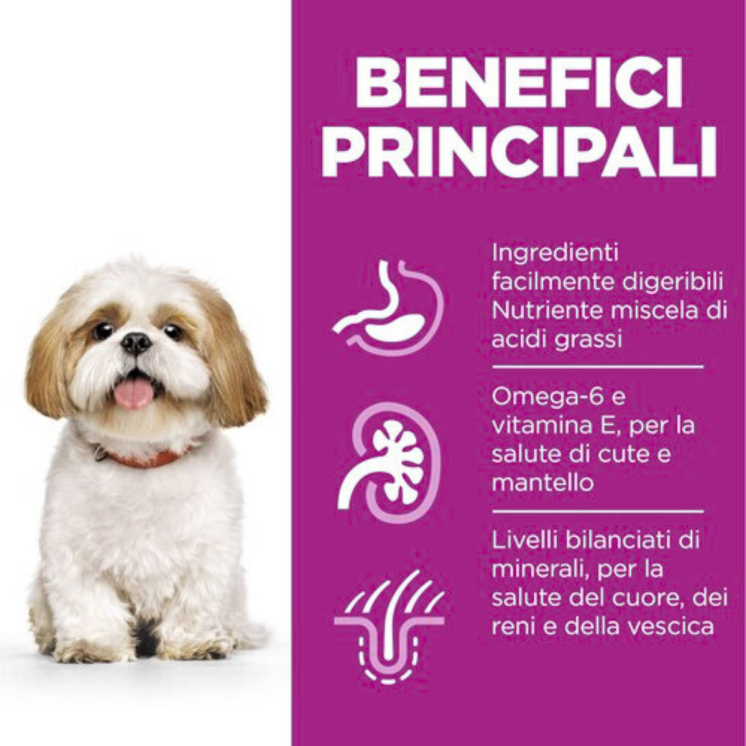 Hill's Science Plan Crocchette Cane Maturo/Adulto +7 Taglia Piccola/Mini Pollo