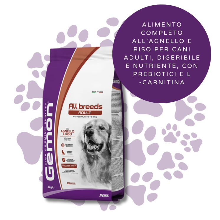 Gemon Cane Crocchette Adulto Agnello e Riso 1,5 Kg