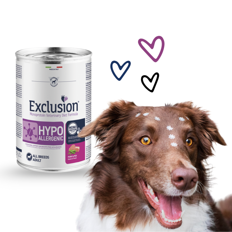 Exclusion Hypoallergenic Umido Cane Adulto Maiale e Piselli