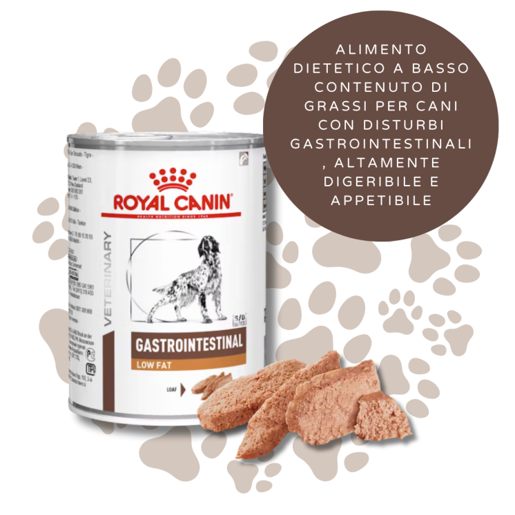 Royal Canin Gastrointestinal Low Fat Cane Adulto