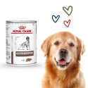Royal Canin Gastrointestinal Cane Adulto