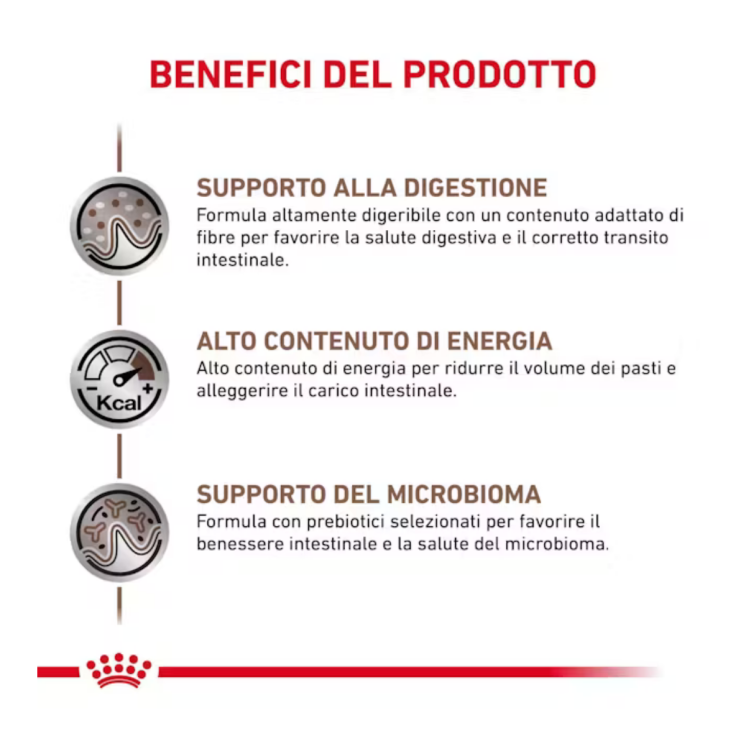 Royal Canin Gastrointestinal Cane Adulto