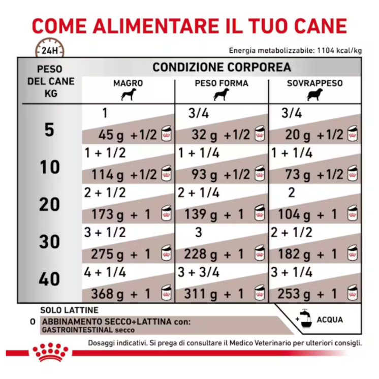 Royal Canin Gastrointestinal Cane Adulto